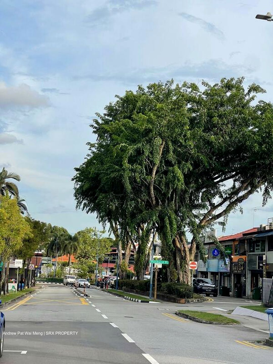 Kensington Park Drive (D19), Terrace #497864881